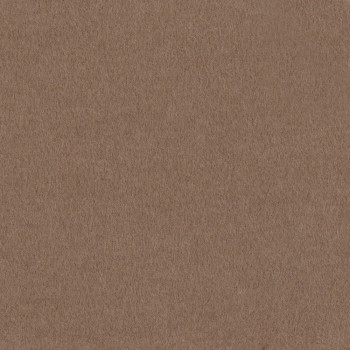 Camel cashmere fabric